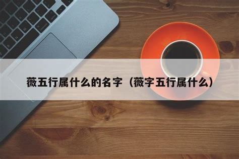 薇五行|薇字的名字寓意是什么意思 薇字的意思